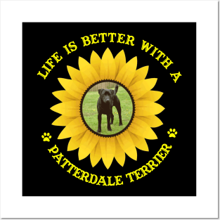 Patterdale Terrier Lovers Posters and Art